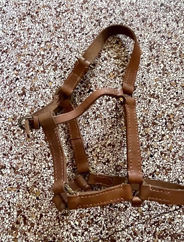 Lederhalfter braun neu - lederhalfter,