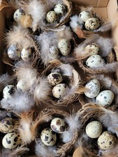 12 x Kleine Osternester Nest