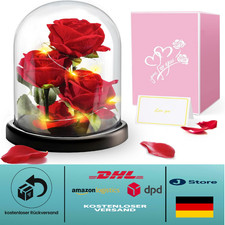 Ewige Rose im Glas |