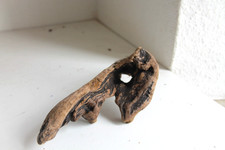 Schwemmholz Treibholz Skulptur