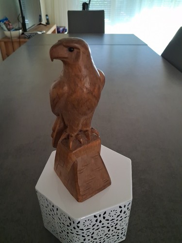 Greifvogel auf felsen unikat - auf,