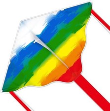 Kite for Kids Adults,Easy to