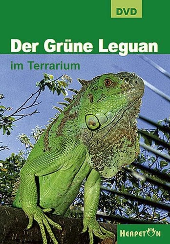 Der grüne leguan - der,