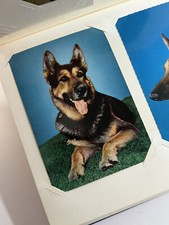 Postkartenalbum mit 140 alten Hundepostkarten · VINTAGE · AK Hunde · TOP-Zustand