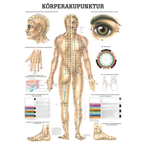 Akupunktur mini poster - akupunktur, mini-poster