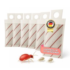 Raubmilben Amblyseiulus andersoni gegen Spinnmilbe, Rostmilbe und Thripslarven