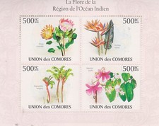 Blumen orchideen komoren - blumen,