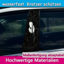 2pcs Black White Horse Car B