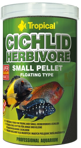 Tropical cichliden herbivore - cichliden,