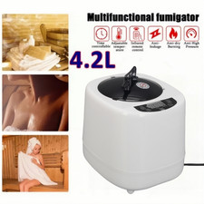 Dampferzeuger 4.2 Liter 1500W