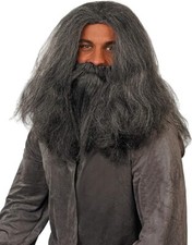 Graue Zauberer Perücke mit