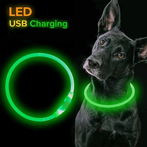 Led hundehalsband usb - led,