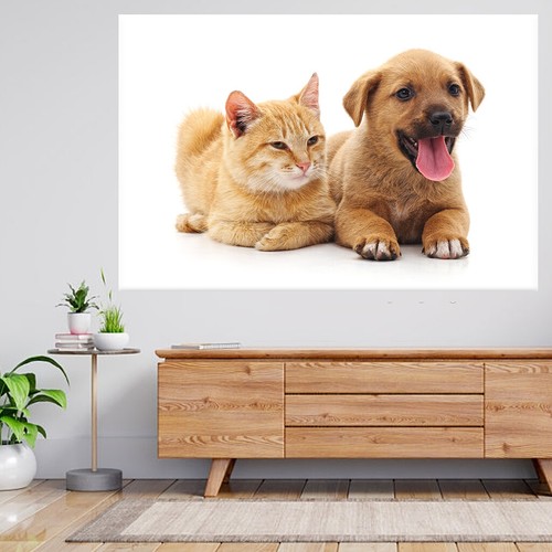 Katze und hund - und, 3d