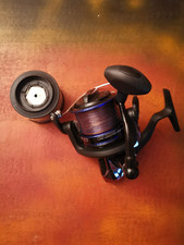 Angeln Shakespeare Agility