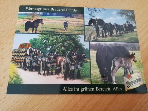 Brauerei wernesgrün werbung - brauerei,