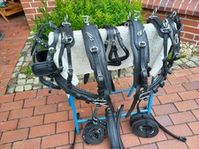 2-spänner Brustblattgeschirr