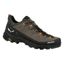 Salewa alp trainer 2 gtx