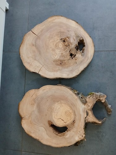Deko hohle apfelbaum - deko,