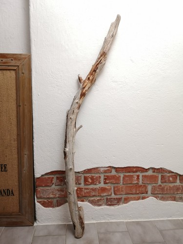 Treibholz ast 139cm - treibholz,