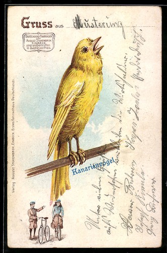Lithographie einbeck reklame - einbeck,,