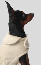 Hundejäckchen verziert