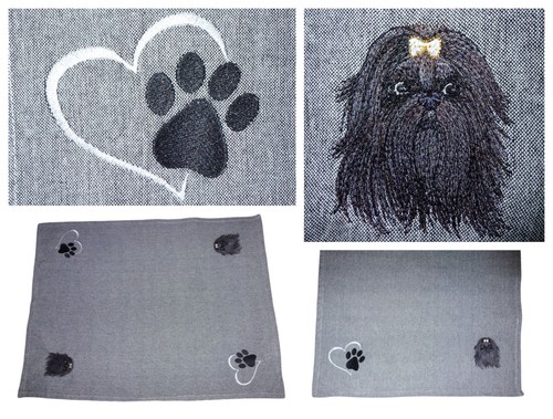 Hund shih tzu shihtzu - hund,