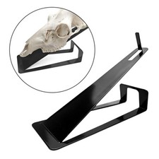 Europäischer Hirsch Schädel