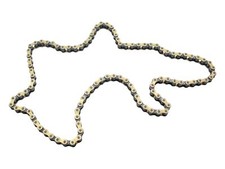 Antriebskette passend für Castel Garden Rasentraktor TC102 TCP102 15189001/0