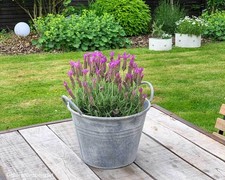 Zinktopf Pflanztopf Zink