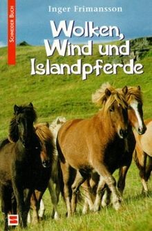Wolken wind und islandpferde - wind,