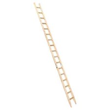 Dämmrich Holzanlegeleiter Anlegeleiter Holz Leiter Anstellleiter Holzleiter