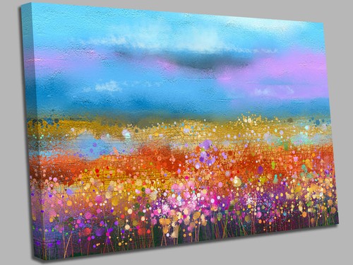Schönes wildblumen feld - schönes,