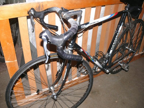 Rennrad concorde - concorde, in