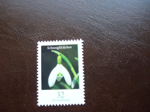 Bund 3655 schneeglöckchen - ,