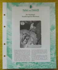 Deutsche Umwelthilfe / Textblatt + Folie / Der Wiedehopf  (22-20)