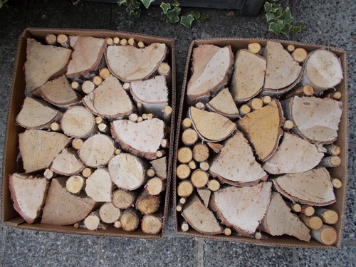 Brennholz kaminholz feuerholz - kaminholz,