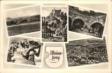 Weinsberg Panorama Burg