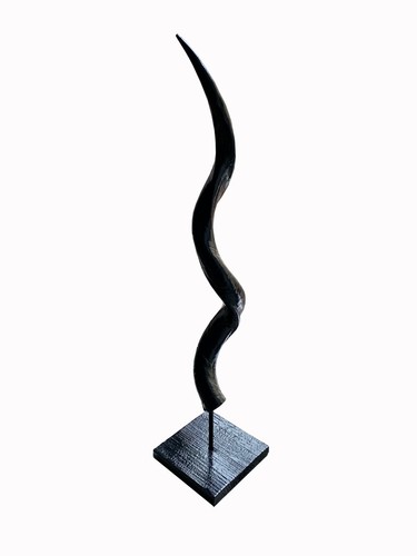 Black gothic kudu horn afrika - gothic,