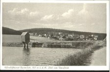 Buntenbock  ungelaufen ca