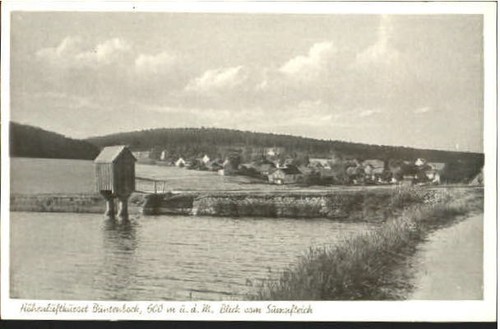 Buntenbock ungelaufen ca - ungelaufen,