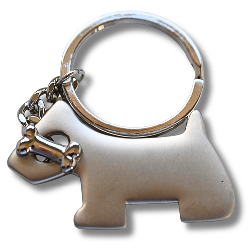 Hund mit knochen - hund,
