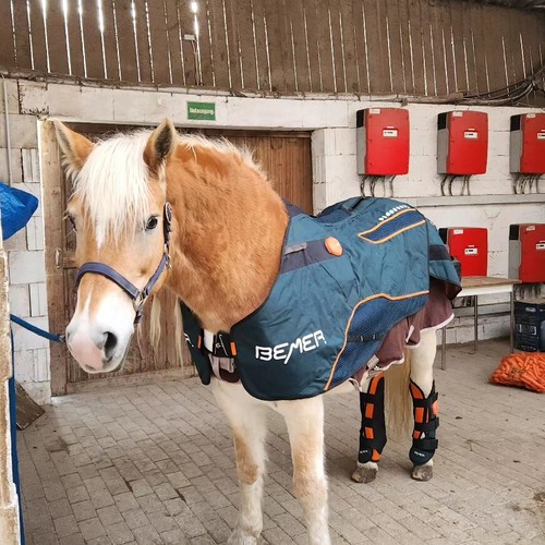 Bemer horse set - horse,