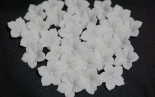 30 Zuckerblumen Blüten