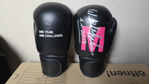 Boxhandschuhe wladimir - boxhandschuhe,