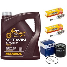 Öl 4L Inspektion Set