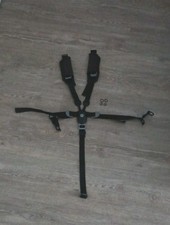 Teutonia Anschnallgurt 5 Punkt