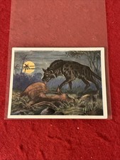 1930s Kurmark “German