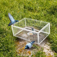 Kleinvogelkäfig & Rattenfalle