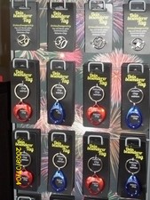 Schlüsselanhänger "Dein besonderer Tag" zuzüglich Datums- und Einkaufswagenchip