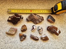 Kieselholz Versteinertes HOLZ FOSSILIEN Lesbos Lesvos Handschmeichler